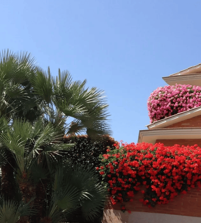 entrada casa con flores