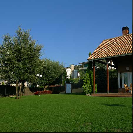 patio con cesped y arboles