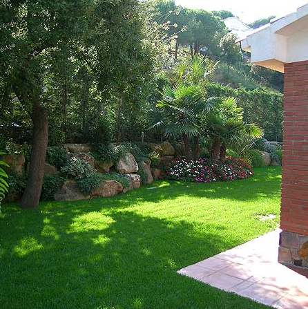 esquina con plantas y piedras