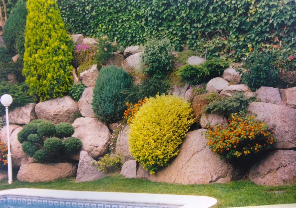 decoracion exterior plantas