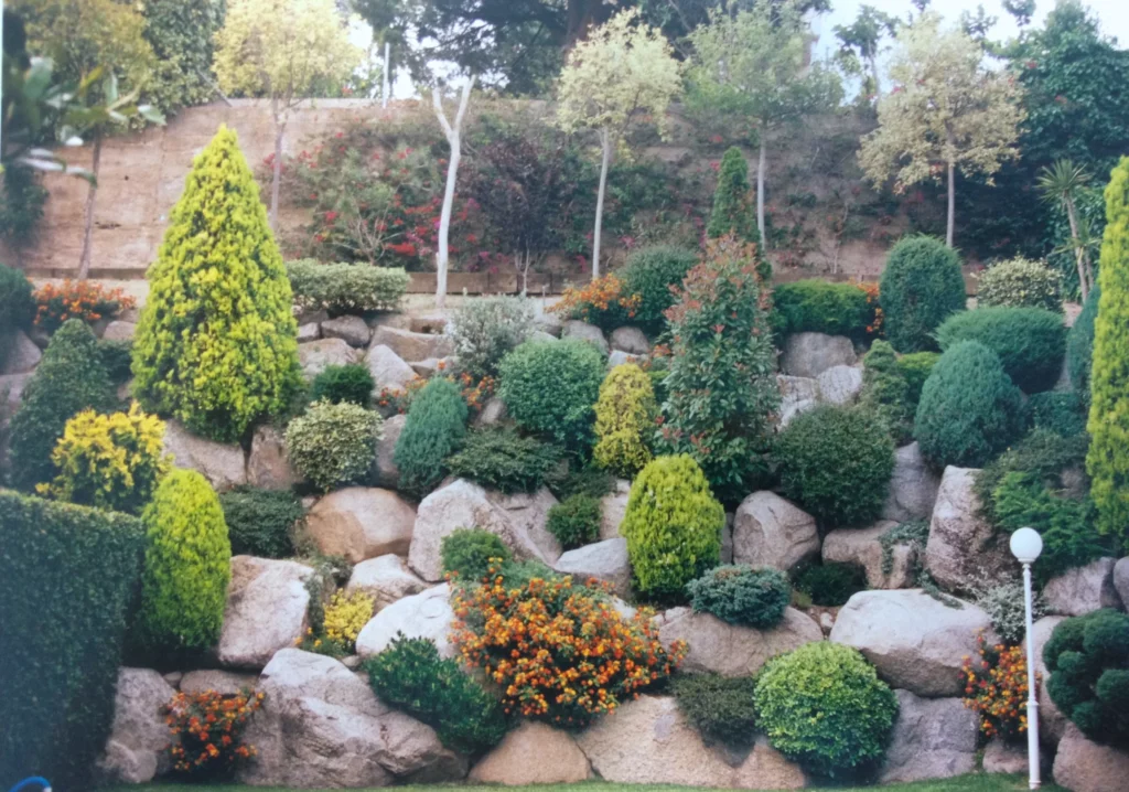 decoracion exterior plantas